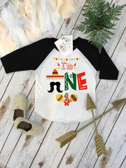 Cinco de Mayo Party, Fiesta Birthday, 1st Birthday shirt, Fiesta and Fun, Taco Party, Taco Bout Fun, Taco Birthday, Mexican Fiesta Party