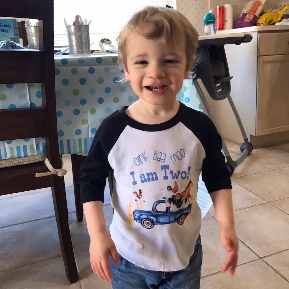 Oink Baa Moo Birthday Shirt, Farm Theme 2nd Birthday Tee, Boy Birthday Outfit, Blue Truck Party Shirt, Toddler Farm Party Tee, Petting Zoo