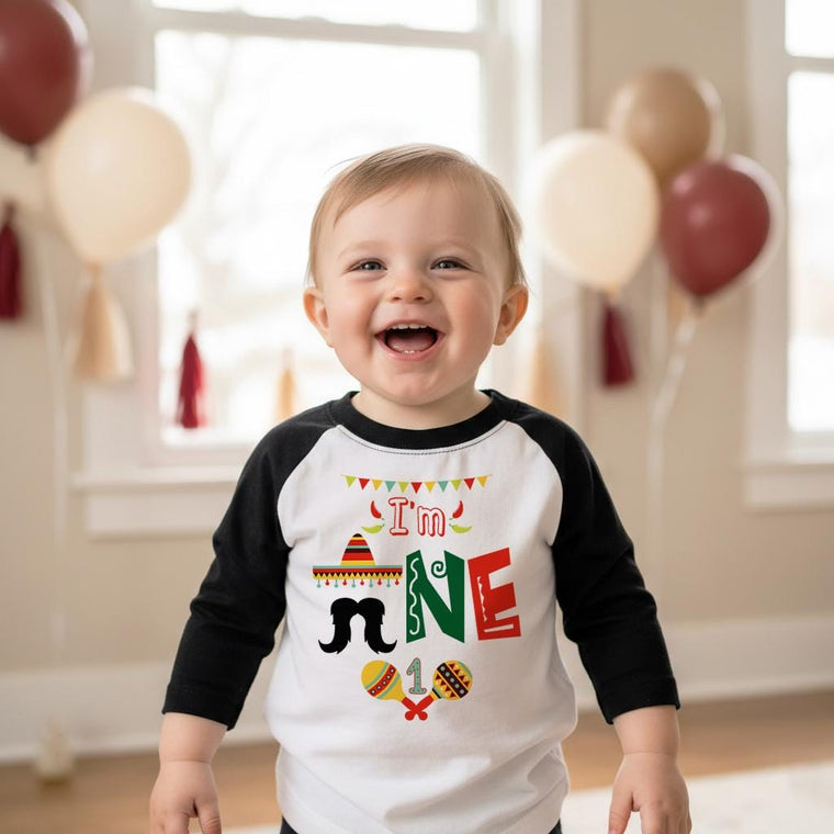 Cinco de Mayo Party, Fiesta Birthday, 1st Birthday shirt, Fiesta and Fun, Taco Party, Taco Bout Fun, Taco Birthday, Mexican Fiesta Party