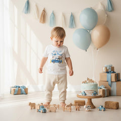 Oink Baa Moo Birthday Shirt, Farm Theme 2nd Birthday Tee, Boy Birthday Outfit, Blue Truck Party Shirt, Toddler Farm Party Tee, Petting Zoo
