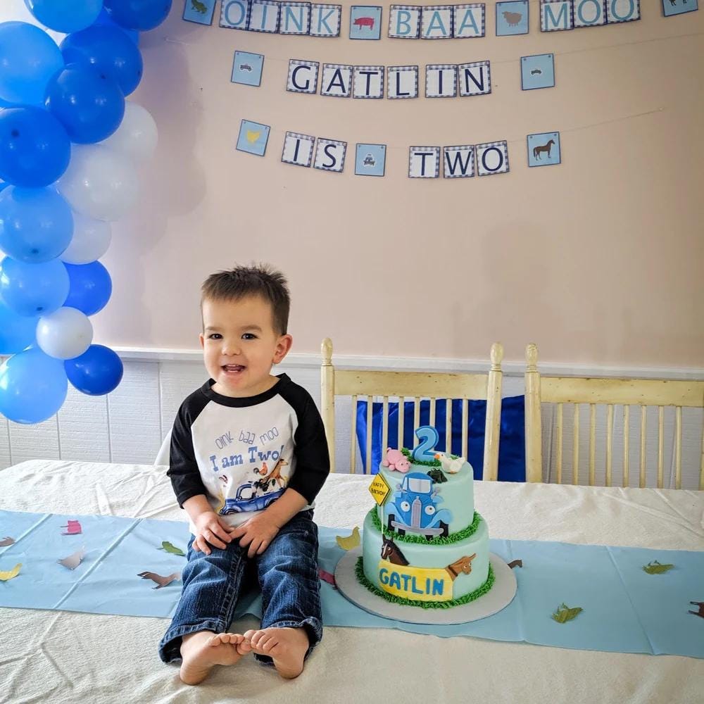 Oink Baa Moo Birthday Shirt, Farm Theme 2nd Birthday Tee, Boy Birthday Outfit, Blue Truck Party Shirt, Toddler Farm Party Tee, Petting Zoo