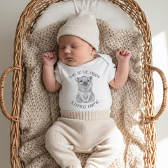 May include: A white short-sleeved baby bodysuit featuring a gray illustration of a piglet in the center. The text "THIS LITTLE PIGGY STAYED HOME" is printed in a circular arc around the piglet. The bodysuit is paired with beige ribbed pants.