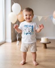 One-der the Sea Shark Birthday Bodysuit, Under the Sea Party Set