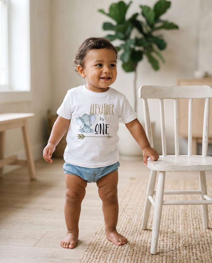 First Birthday, Elephant Theme, Birthday Shirt, 1st Birthday, Personalized Birthday Shirt, Boy Birthday, Birthday Onesie®, Best Seller baby
