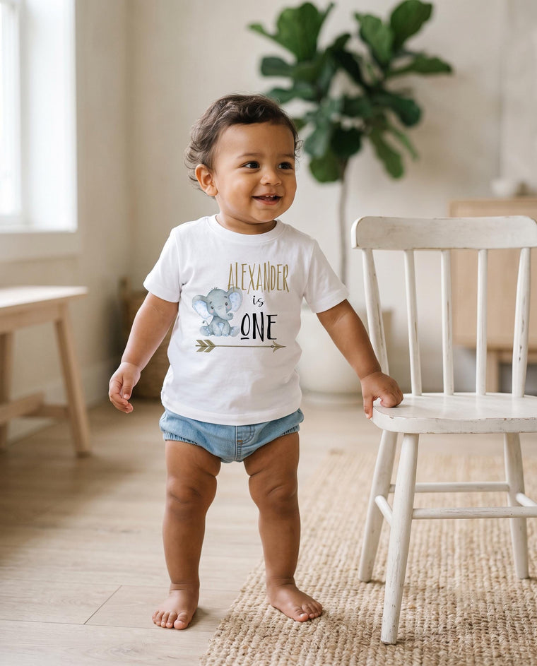 First Birthday, Elephant Theme, Birthday Shirt, 1st Birthday, Personalized Birthday Shirt, Boy Birthday, Birthday Onesie®, Best Seller baby